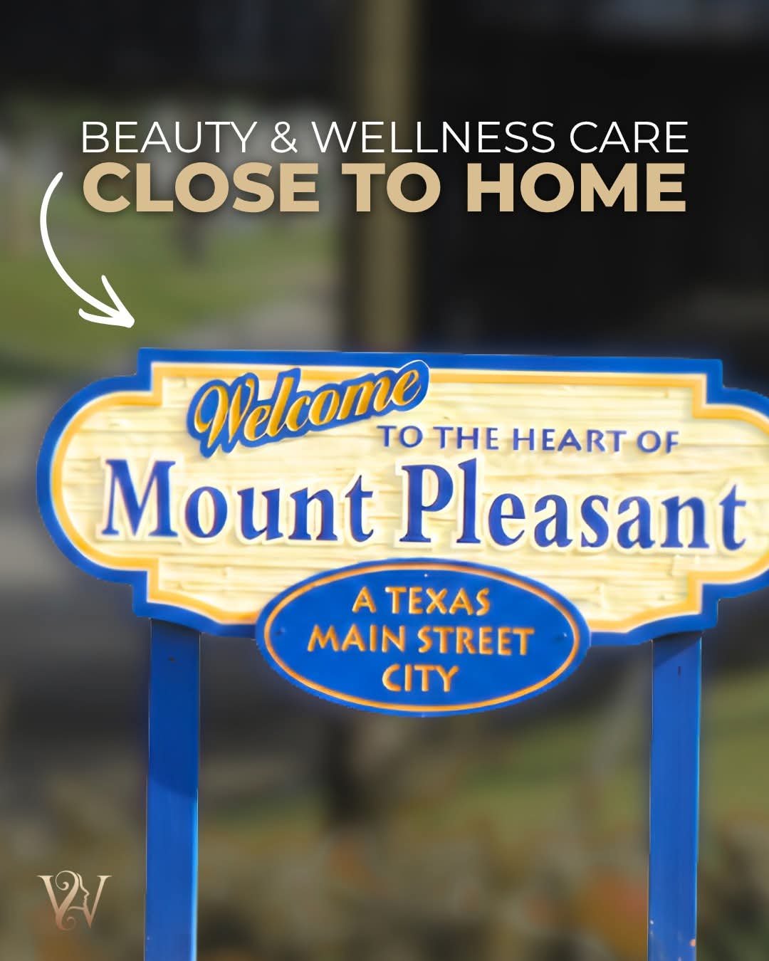 Welcome to Mount Pleasant town sign